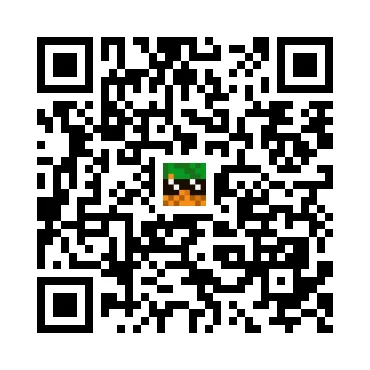 skins.qr_code_alt