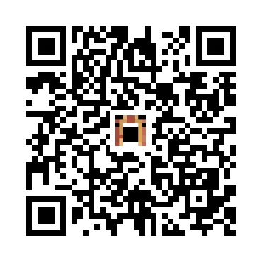 skins.qr_code_alt