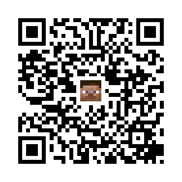 skins.qr_code_alt