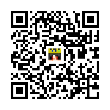 skins.qr_code_alt