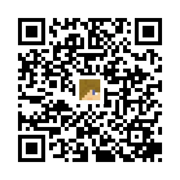 skins.qr_code_alt