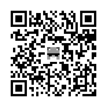 skins.qr_code_alt