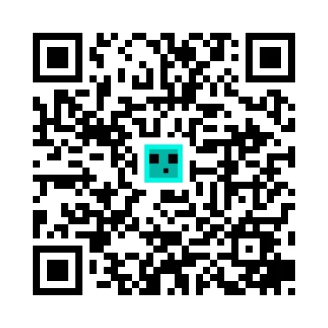 skins.qr_code_alt