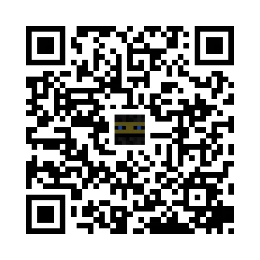 skins.qr_code_alt