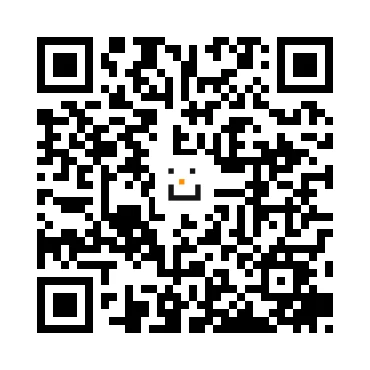 skins.qr_code_alt
