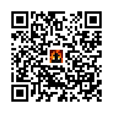 skins.qr_code_alt