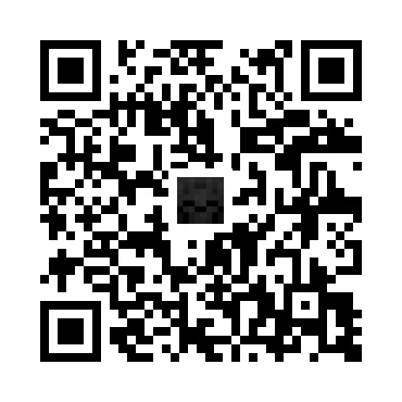 skins.qr_code_alt