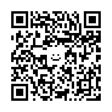 skins.qr_code_alt