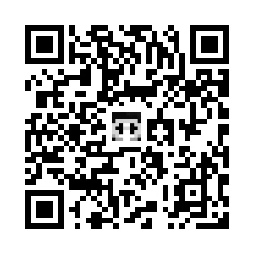 skins.qr_code_alt