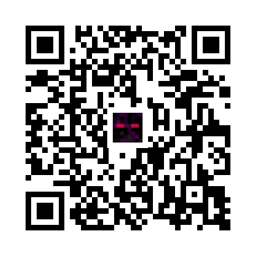 skins.qr_code_alt