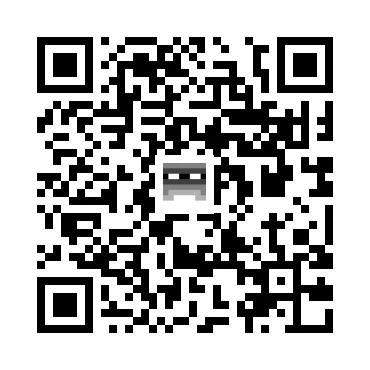 skins.qr_code_alt