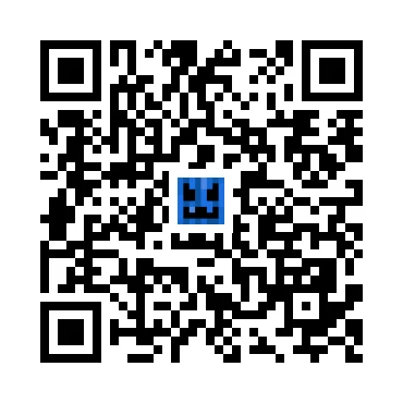 skins.qr_code_alt