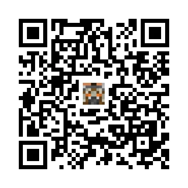 skins.qr_code_alt