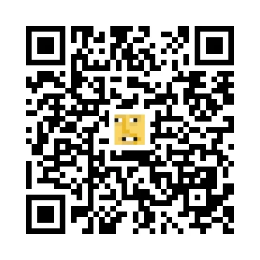 skins.qr_code_alt