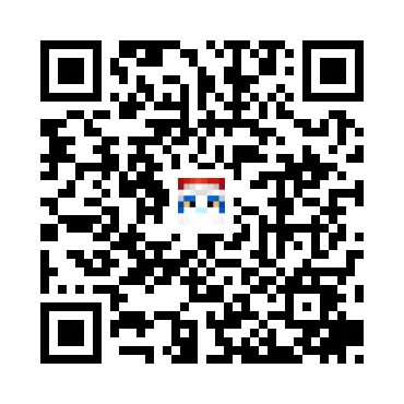 skins.qr_code_alt