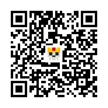 skins.qr_code_alt
