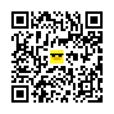 skins.qr_code_alt