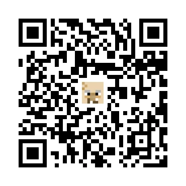 skins.qr_code_alt