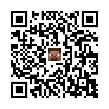 skins.qr_code_alt