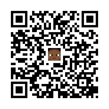 skins.qr_code_alt