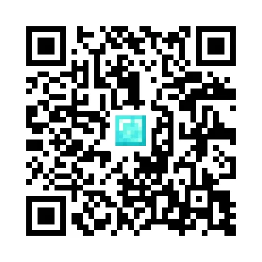 skins.qr_code_alt