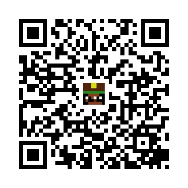 skins.qr_code_alt