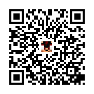 skins.qr_code_alt