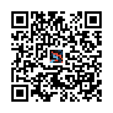 skins.qr_code_alt