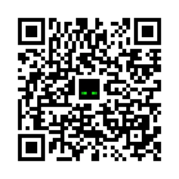 skins.qr_code_alt