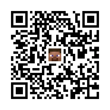 skins.qr_code_alt