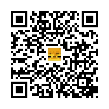 skins.qr_code_alt