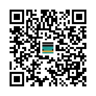 skins.qr_code_alt
