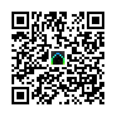 skins.qr_code_alt