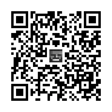 skins.qr_code_alt