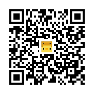 skins.qr_code_alt