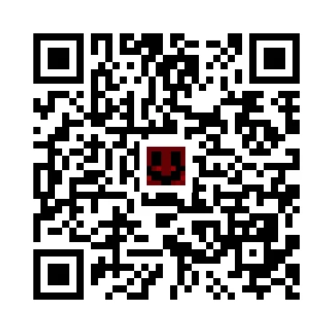 skins.qr_code_alt