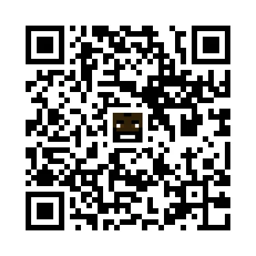 skins.qr_code_alt