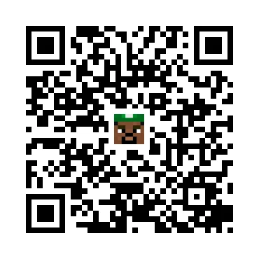 skins.qr_code_alt