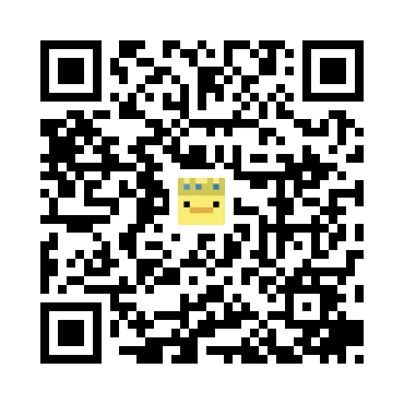 skins.qr_code_alt