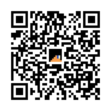 skins.qr_code_alt