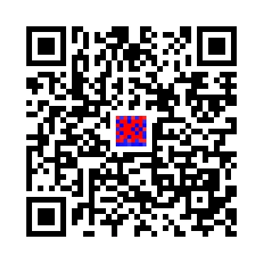 skins.qr_code_alt