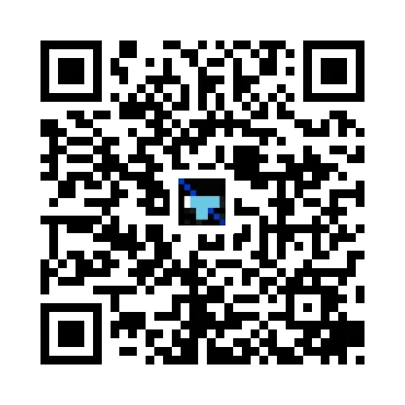 skins.qr_code_alt
