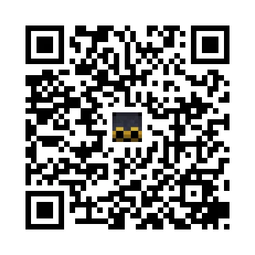 skins.qr_code_alt