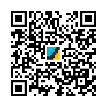 skins.qr_code_alt
