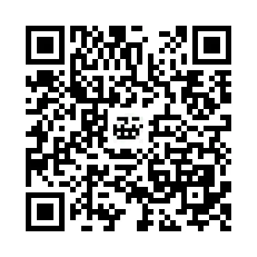 skins.qr_code_alt
