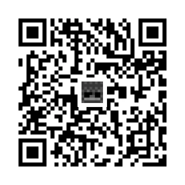 skins.qr_code_alt