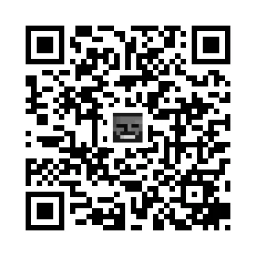 skins.qr_code_alt