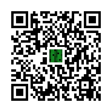 skins.qr_code_alt