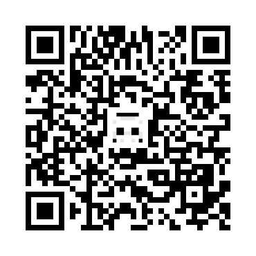 skins.qr_code_alt