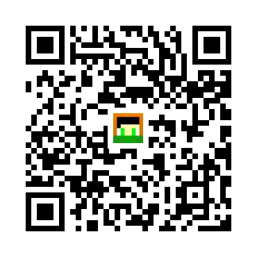 skins.qr_code_alt